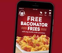 expired free wendy s baconator fries