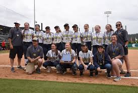 honkers clinch first softball state