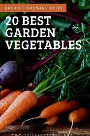 Top 20 Garden Vegetables To Grow