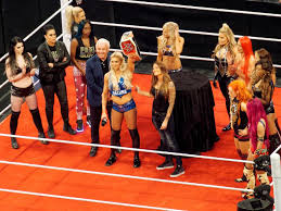 Image result for wwe superstar male and female