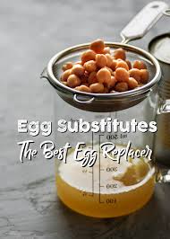 egg subsutes the best egg replacer