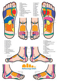 Free Foot Reflexology Chart 16 Hand Reflexology Foot
