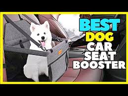 Top 5 Best Dog Booster Car Seat For