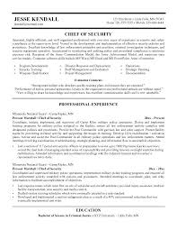Security Resume Network Resumes Entry Level Analyst Sample Cyber