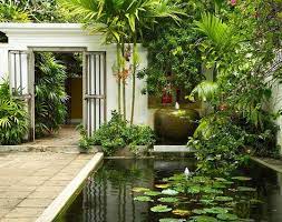 indoor garden design ideas in sri lanka