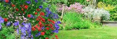 Your Cottage Garden Merryhatton