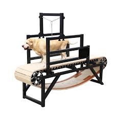 bowwowtread dog treadmill no