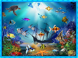 the aquarium fish pretty art
