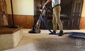 carpet cleaning in orlando live clean