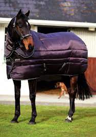 horsewear amigo insulator plus super