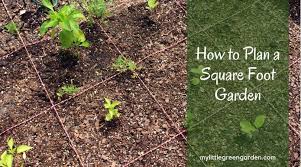 How To Plan A Square Foot Garden My