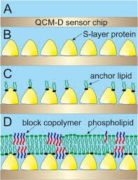 mixed lipid block copolymer