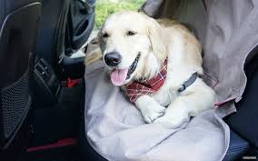 Dog Car Seat Cover Will Help Protect