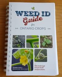 weed id guide for ontario crops field