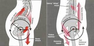 3 causes of hamstring tightness