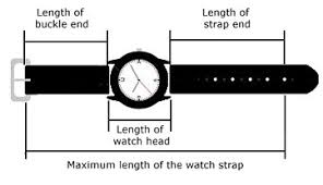 Select either the solo loop or braided solo loop as an option when purchasing your apple watch or a separate band. Watch Strap Measurement There Are Two Critical Measurements When Choosing And Fitting A Replacement Watch Strap The First Is The Width Of The Watch Head At The Lugs And The Second Is The Overall Length Of The Watch Strap Once Fitted 1 Measuring The