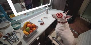 get to know bullseye the target dog l