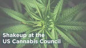 smoking cannabis US Cannabis Council