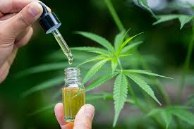 Cbd and cannabis oil uses have received a significant amount of attention because of their healing my request is that you read about cannabis oil uses and cbd health benefits with an open mind and. Cbd Oil As A Treatment For Autism