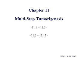 Chapter 11 Multistep Tumorigenesis 11 1