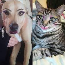 the real reason to have a makeup app 9