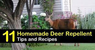 11 Brilliant Diy Ideas For Deer Repellents