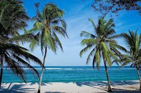 Диани Бич, Малинди и другие лучшие пляжи Кении, которые понравятся всем  туристам | homsk | Турист, Пляж, Кения