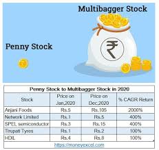 penny stock to multibagger stock in