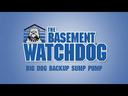 Basement Watchdog Big Dog Connect Sump