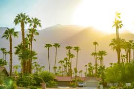 the pros and cons of palm springs ca