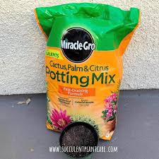 It also contains forest products, sand and perlite to help prevent soil compaction and improve drainage. Four Popular Succulent Soil Comparison Succulent Plant Care