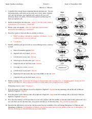 Meiosis practice worksheet answer key pdf. Mitosis Vs Meiosis Worksheet Doc Name Paulina Castellanos Period C Date 21 September 2018 Mitosis Vs Meiosis 1 Complete The Concept Map Comparing Course Hero