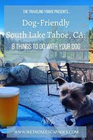 dog friendly south lake tahoe ca 8