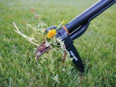 These machines drive specially machined tines into the ground using their weight, combined with a an aeration treatment is one of the very best treatments you can do to your lawn. How To Aerate A Lawn How Tos Diy