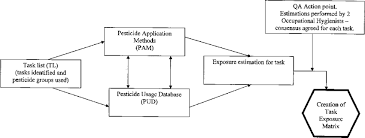 flow chart showing development of the