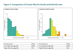 Understanding Your Results Sperm Dna Fragmentation Examen