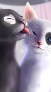 white cat love heat kiss art wallpaper