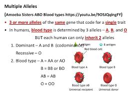 Learn how to set up and solve a genetic problem involving multiple alleles using abo blood types as an example! Genetics Notes Gregor Mendel By Teachers Pet 5 Min Ppt Download