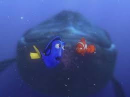 2016 / сша finding dory в поисках дори. Pixar Changed Finding Nemo Sequel Due To Killer Whale Documentary