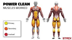 Power Clean Form 101 Perfect Your Form And Build Power Stack