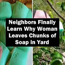 Chunks Of Soap In Yard