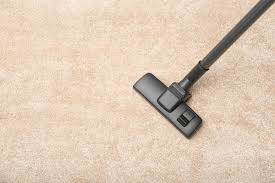 your carpet professionally cleaned