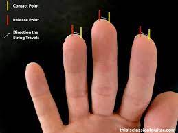 fingernail lesson for clical guitar