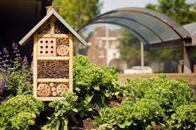 How To Build A Do It Yourself Bee House