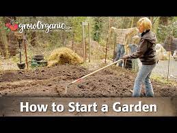 How To Start A Garden