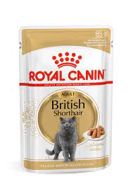 royal canin maine pouch wet