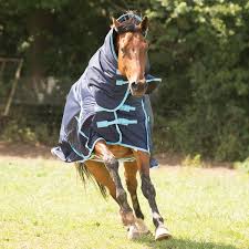 gallop trojan 350g combo turnout rug