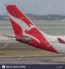 If you're familiar with the qantas logo, you already know and love the kangaroo. Qantas Logo Auf Schwanzflosse Von Passagierflugzeugen Stockfotografie Alamy