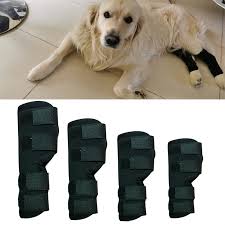 pet knee pads dog support brace