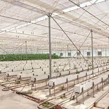 greenhouse farming in nigeria a